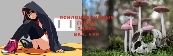 меф Снежногорск