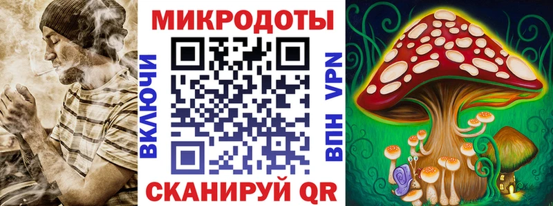 Псилоцибиновые грибы Psilocybe  где найти   Владивосток 